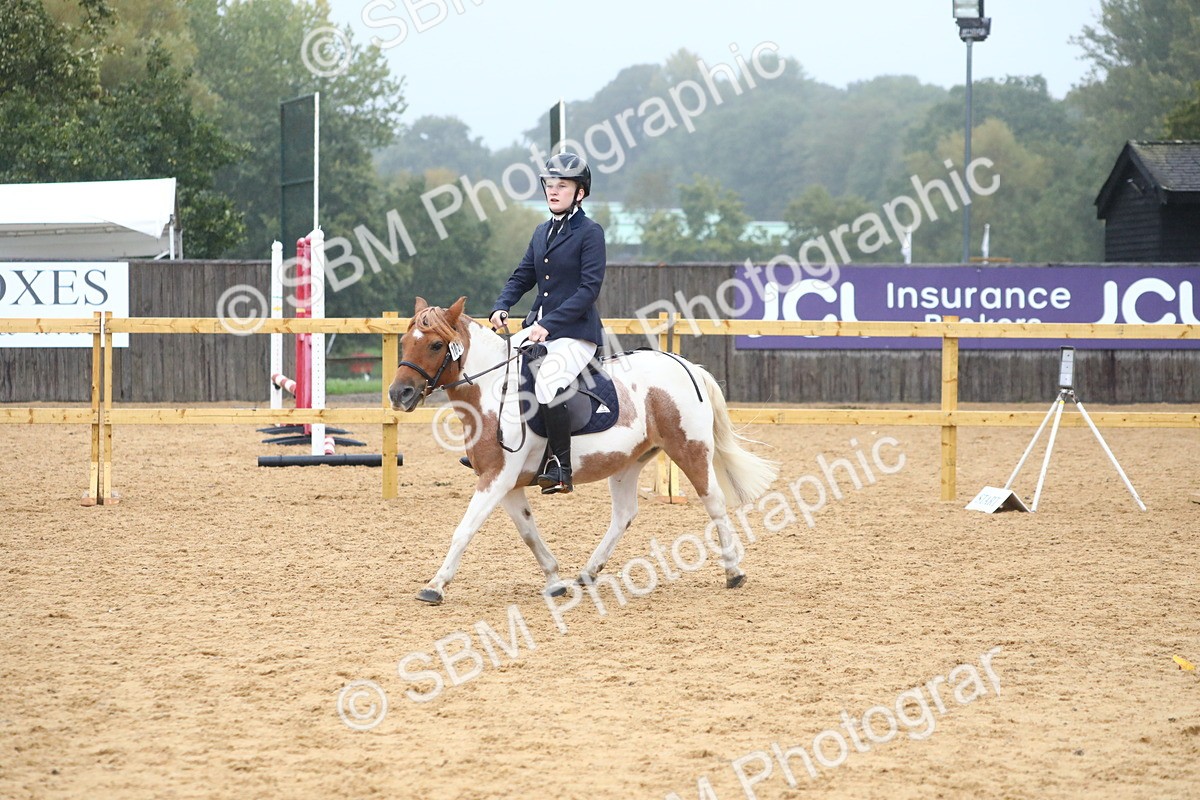 SBM_71773 - J4 - Mini Tour Junior Pony 45cm Championship
