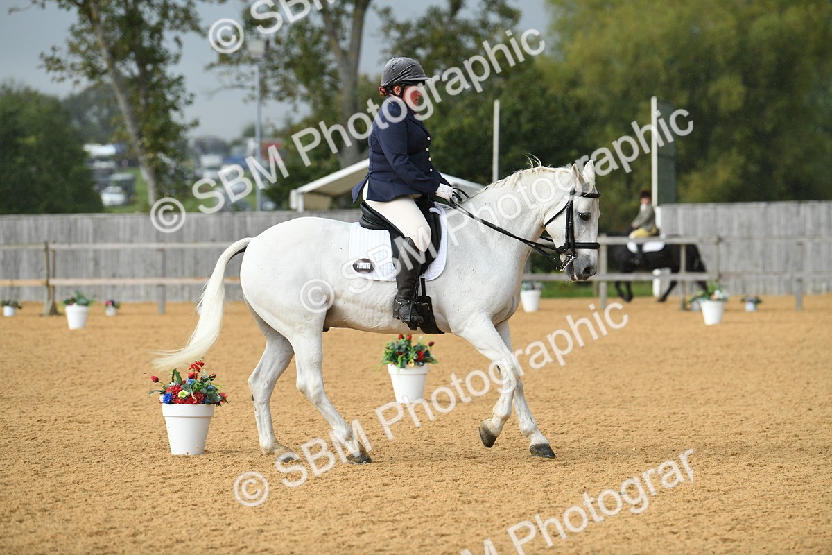 SBM_11127 - D28 Elementary Taster Elementary 42