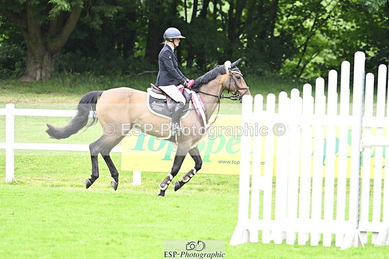 250613A-135836-02431 - Cls 3 Snr Foxhunter