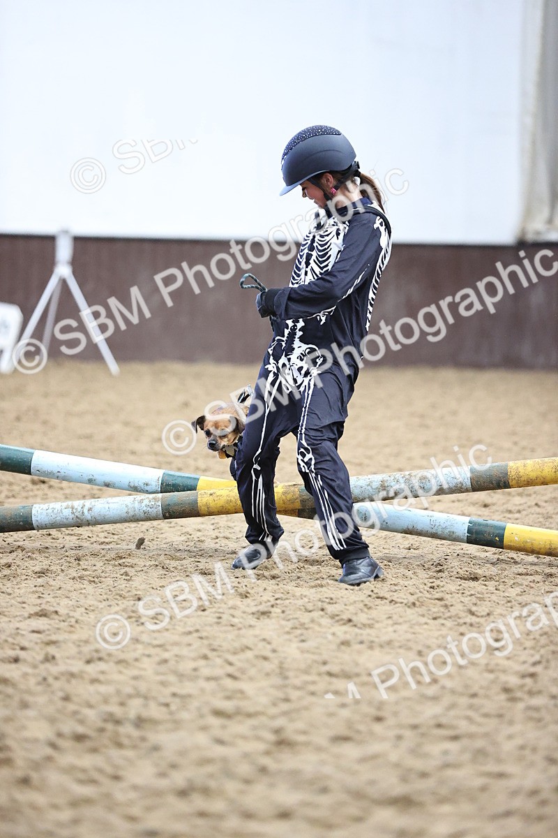 SBM_001588 - Class 3 - Horse & Hound 60cm