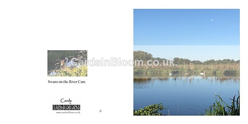 06 A New Dawn - A NEW DAWN