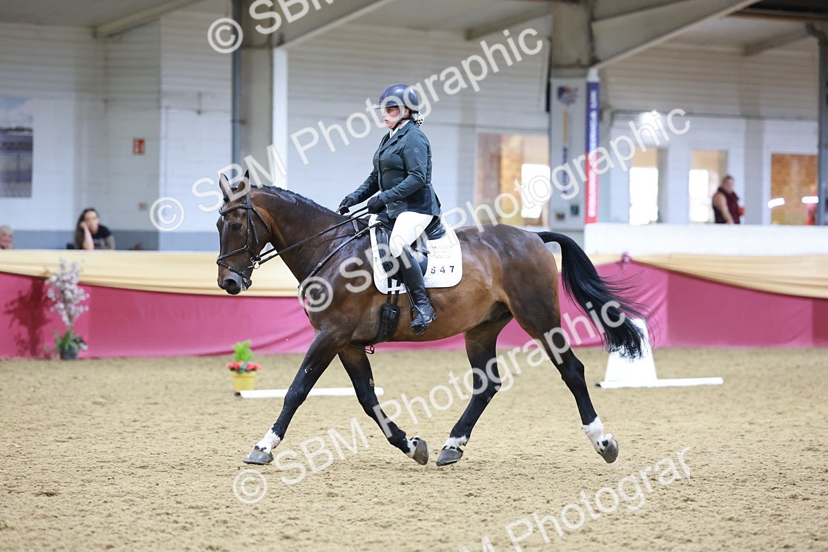 SBM_09813 - Class 61 - Dressage to Music
