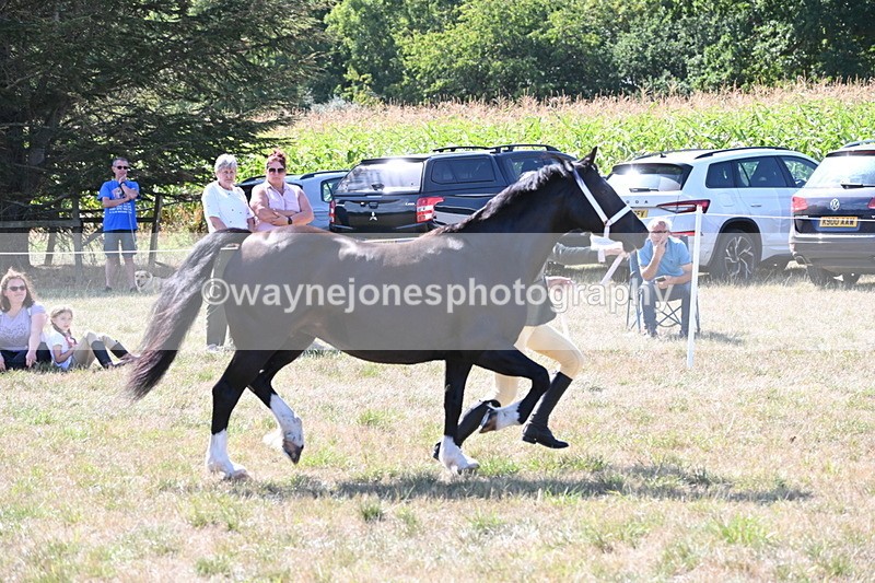 WJ6_4877 - Class 17 Mountain & Moorland