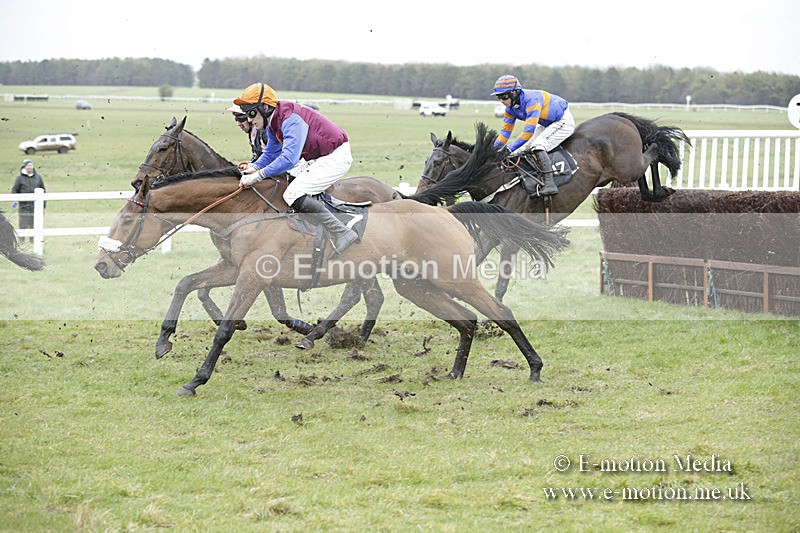 PtP 150320 0210 - New Forest Point-to-Point Larkhill 15/03/20