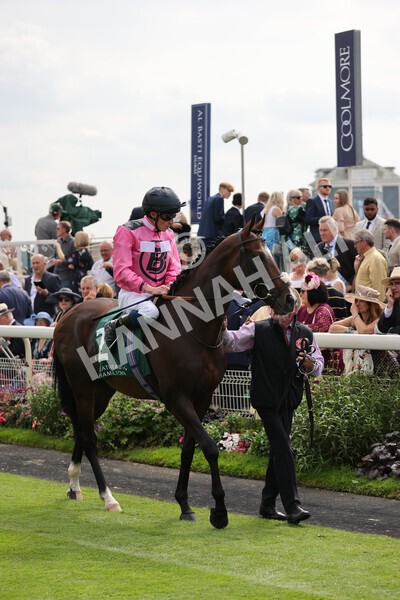 yr20082021r2-34 - Race 2 2.25pm Weatherbys Hamilton Lonsdale Cup (British Champion Series race)