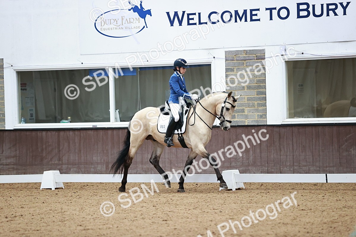 SBM_000933 - Class 2-5-4-6 - Paso Doble-Golega-Novato-Sevilla - FSM