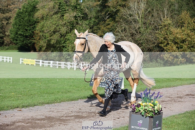 241027-103357-15969 - 519-Jane.Rogers-CORRIEVIEW.MERLIN.MAGIC