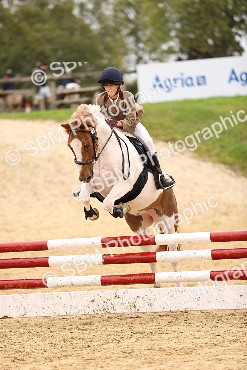 SBM_64764 - J17 - Junior Pony 80cm Championship