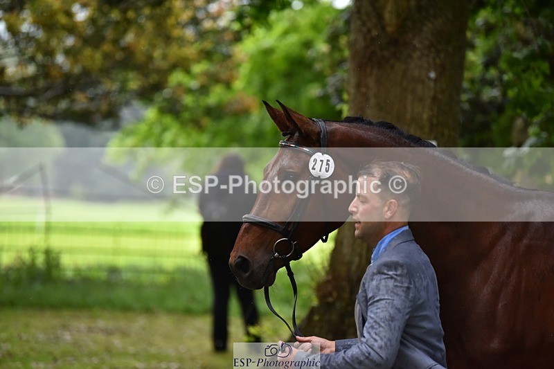 240522-162234-00874 - 275-SFS_ARRANO-Roberto_Scalisi