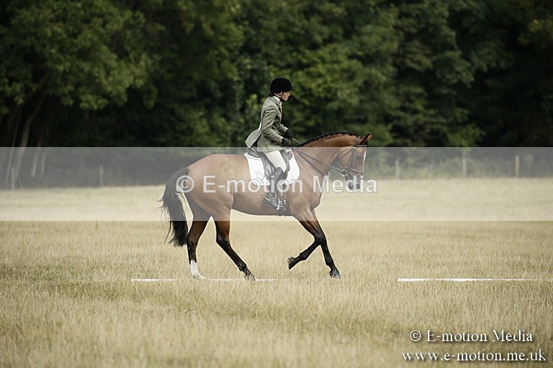 _EP59100 - Dressage Classes BVRC Show 2018