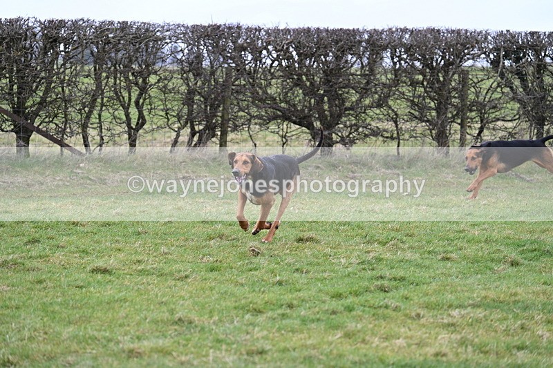 WJ7_4320 - Cam A