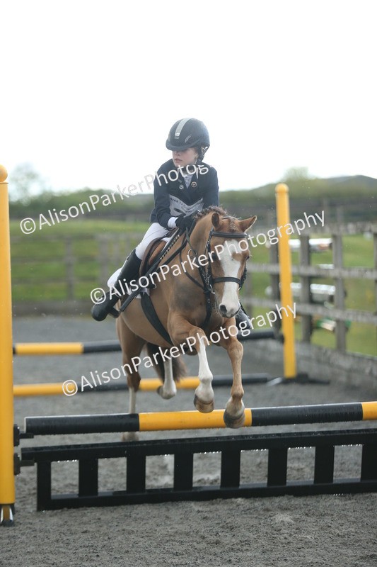 20260412-1920 - Show Jumping