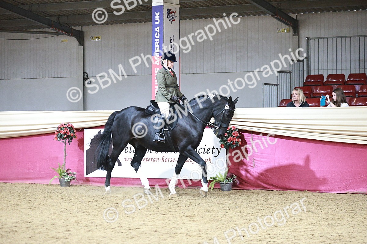 SBM_08748 - Class 12R - Regional Ridden Pre-Vet