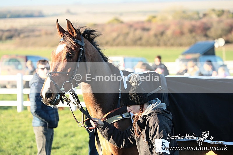 PtP 301125  0842 - Hursley Hambledon Point-to-Point Larkhill Racecourse 30/11/2025