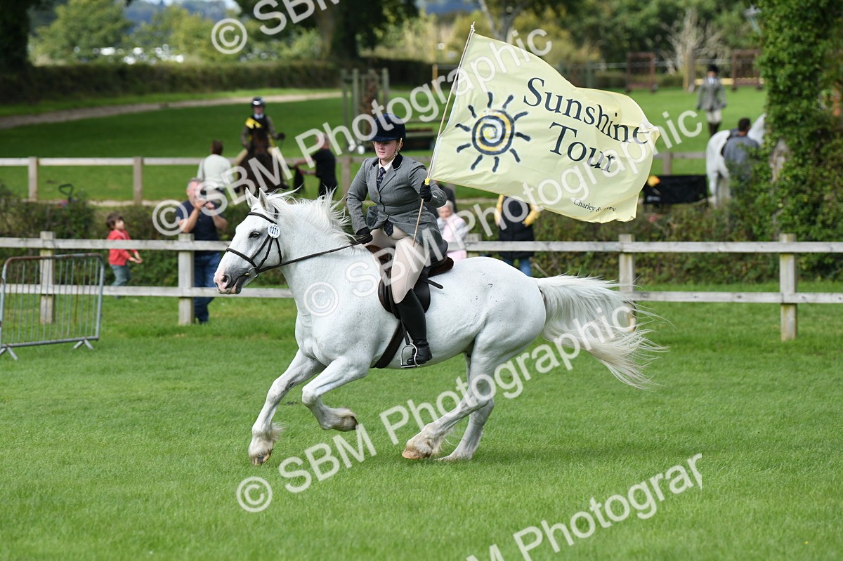 SBM_46905 - S12 - Family Horse & Pony