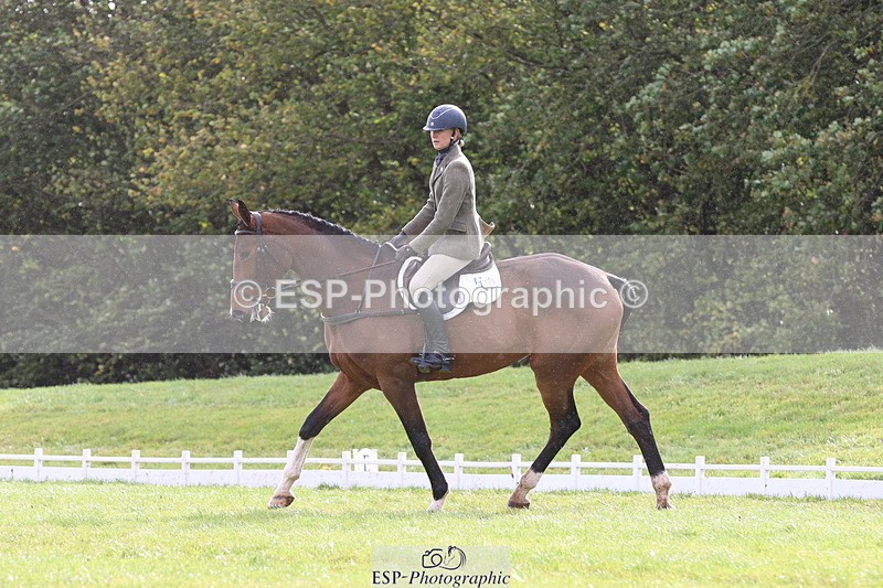 261023A-115753-12565 - D-368-Steffi.Dampney