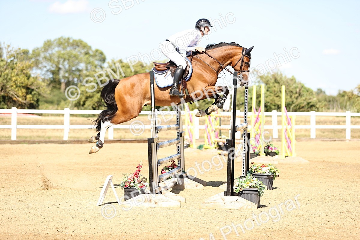 SBM_015665 - Class 16 - Senior foxhunter - 1.20m Open