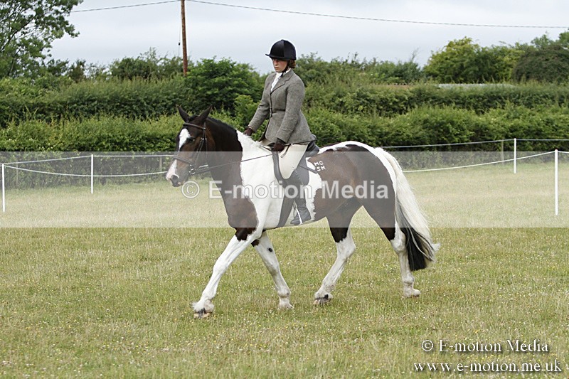 BVR160717-179 - Ring 3 BVRC Show 16/07/17