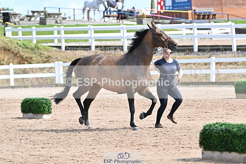 240717A-155438-03170 - Trot Up 3pm to 4pm