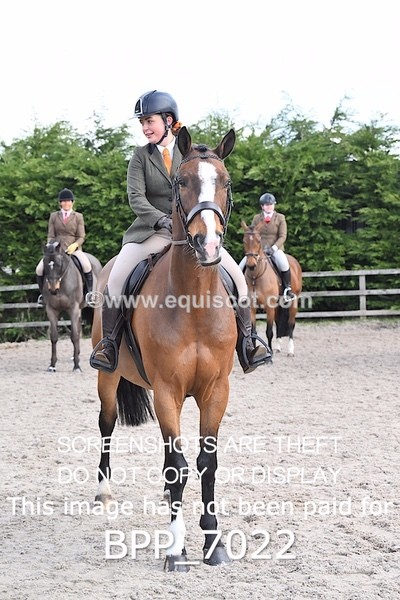 BPP_7022 - RING 1  (RIDDEN HORSES / IN HAND / VETERAN ETC)