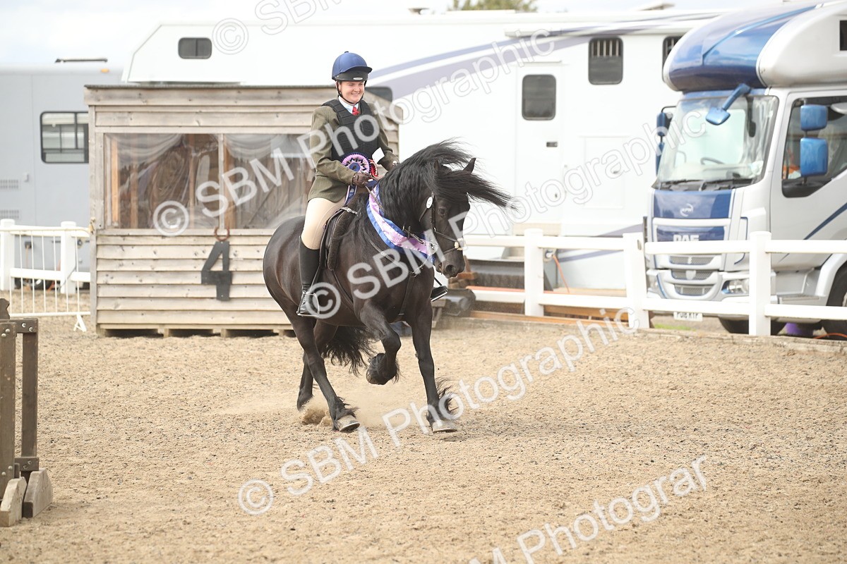 SBM_17793 - Class 508a - Working Veteran 70cm (15-19)