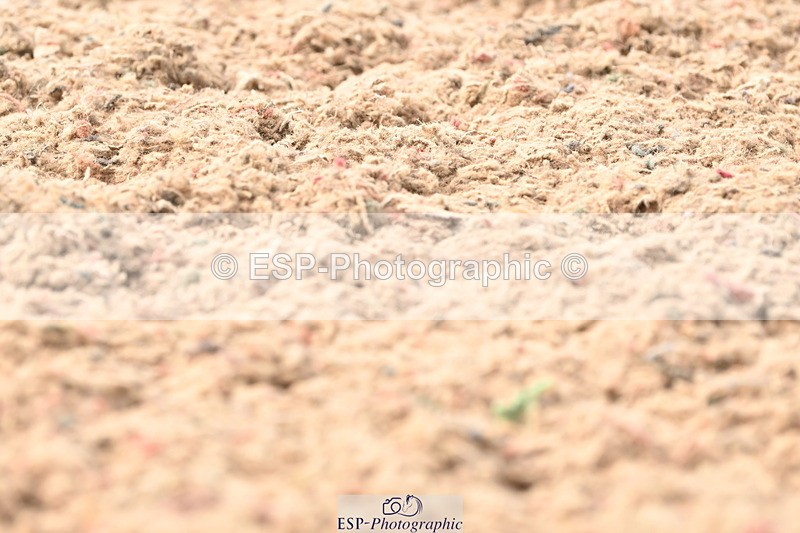 240621A-170444-05897 - Cls 14 BD Adv Medium 98