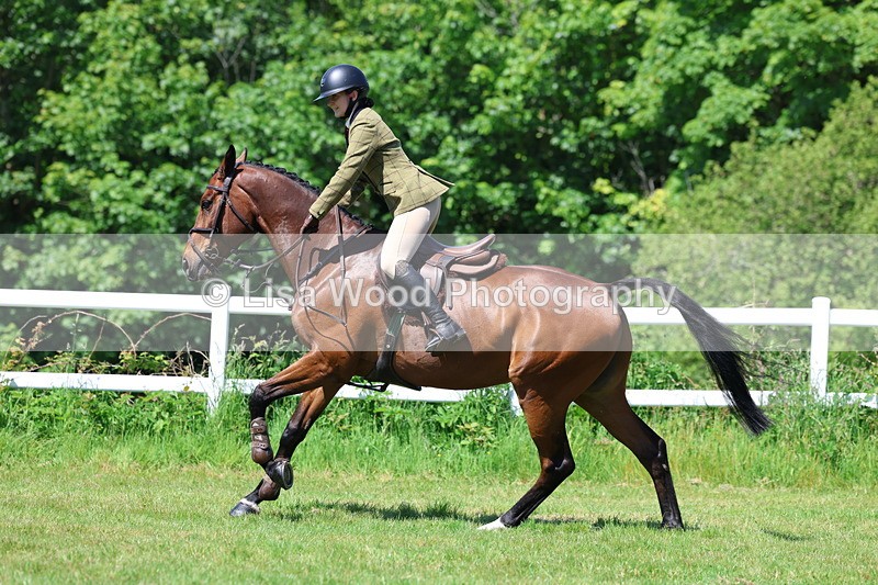 3E7A7102 - Class 30: Novice Working Hunter