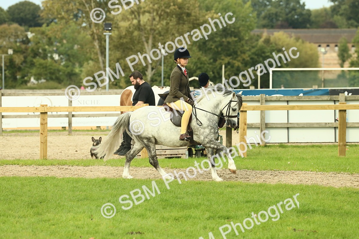 SBM_69858 - S59 - Mountain & Moorland Ridden Small Breeds