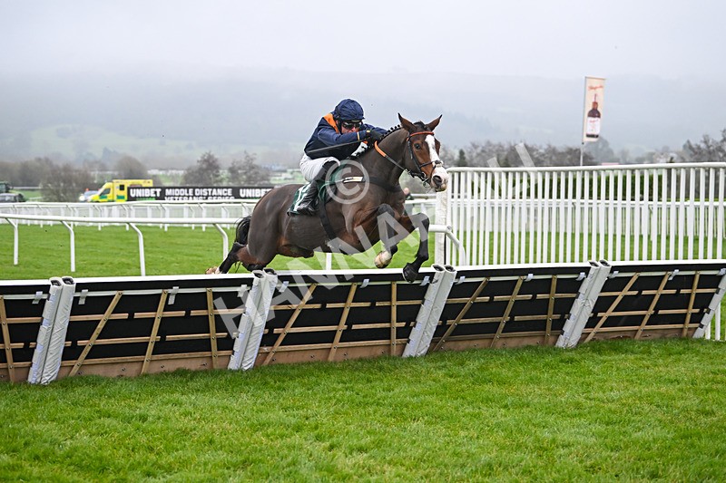 131224-Race 3-Mirabad-8885 - Race 3