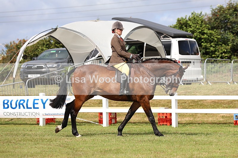 3E7A9307 - Class 4: Rising Star M/H Hunter