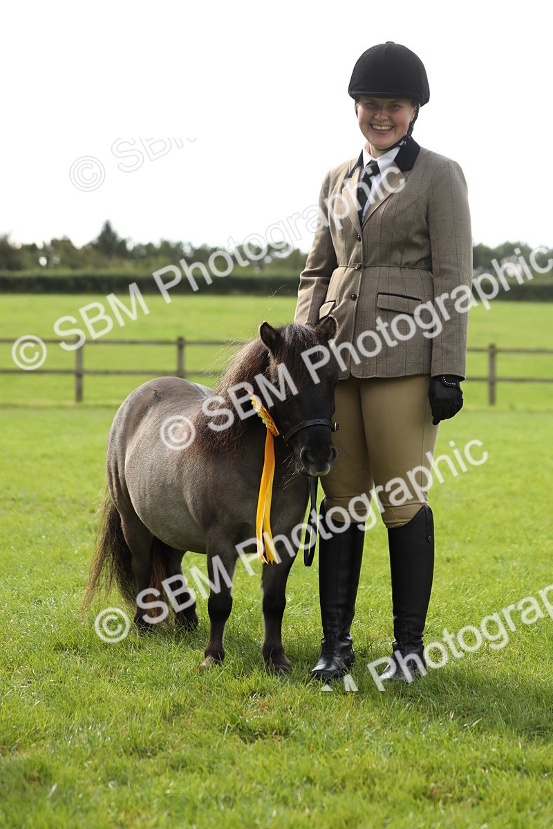 SBM_62856 - S46 - Mountain & Moorland In Hand Small Breeds