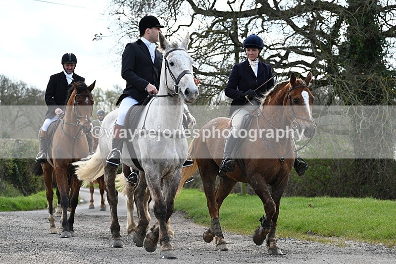 WJ7_9871 - Walk Home