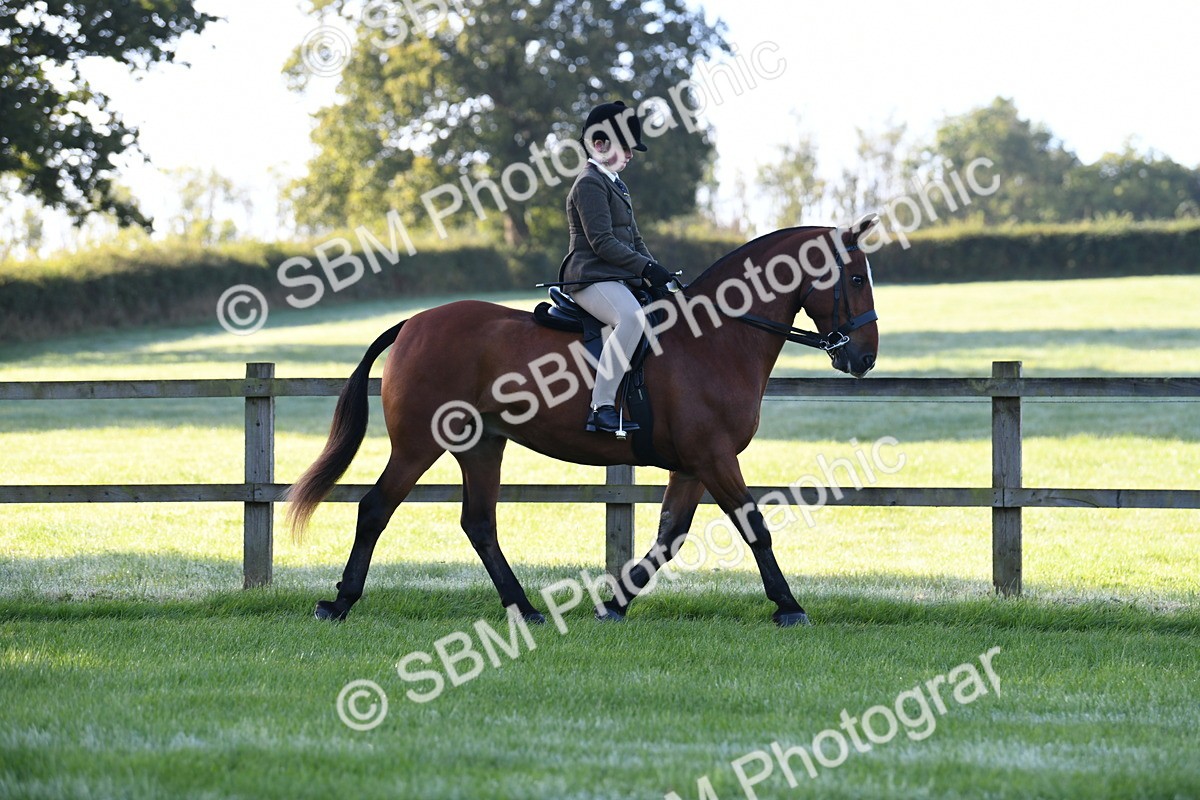 SBM_33960 - S16 - Condition & Turnout - Ridden