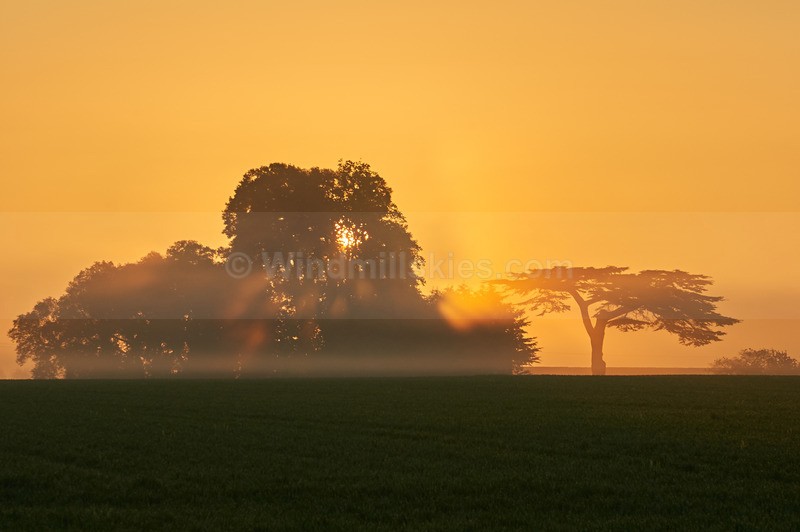  - Landscapes