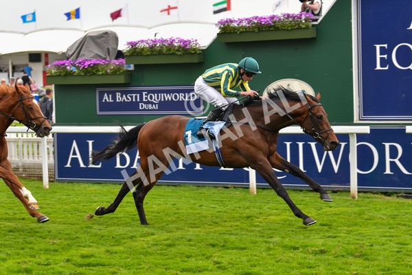 180523-Race 7-Chesspiece-9933 - Race 7 5.20pm Collective Green Energy Handicap