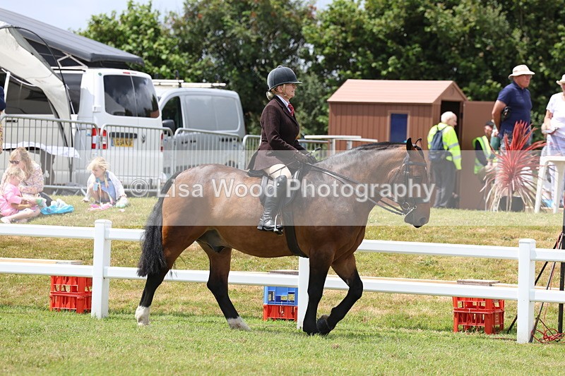 3E7A1823 - Class 10: Open Cob