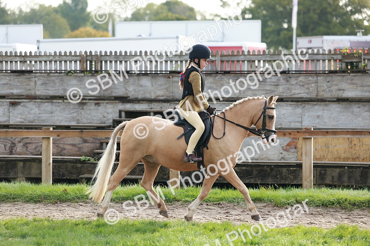 SBM_56331 - S39 - Starters In Hand Showing