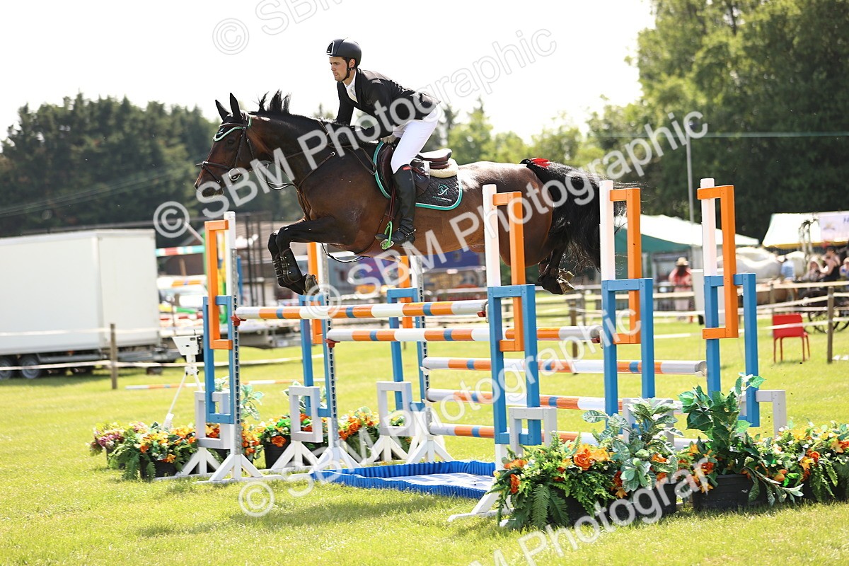 SBM_03152 - Class 201 - British Horse Feedds Speedi Beet HOYS Grade C