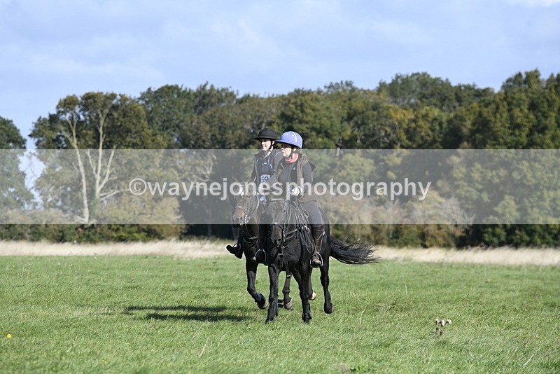 _DSC5307 - Time 10:49 to 11:23