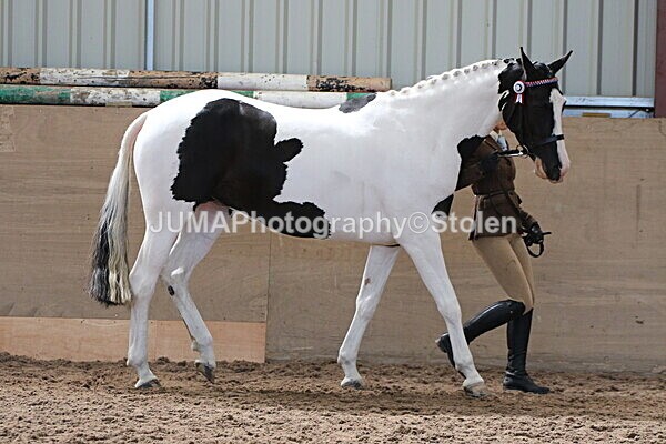 SIAL9897 - Indoor Classes