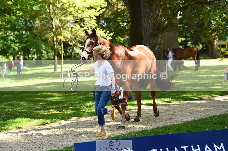 230524-152624-00270 - 328-GREENLOUGH_CROSS-Kelly_Mccarthy-maine-WEDTrotUp+DR