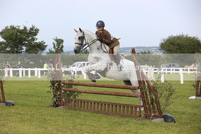 JPP_4154 - Class 25: Working Show Horse