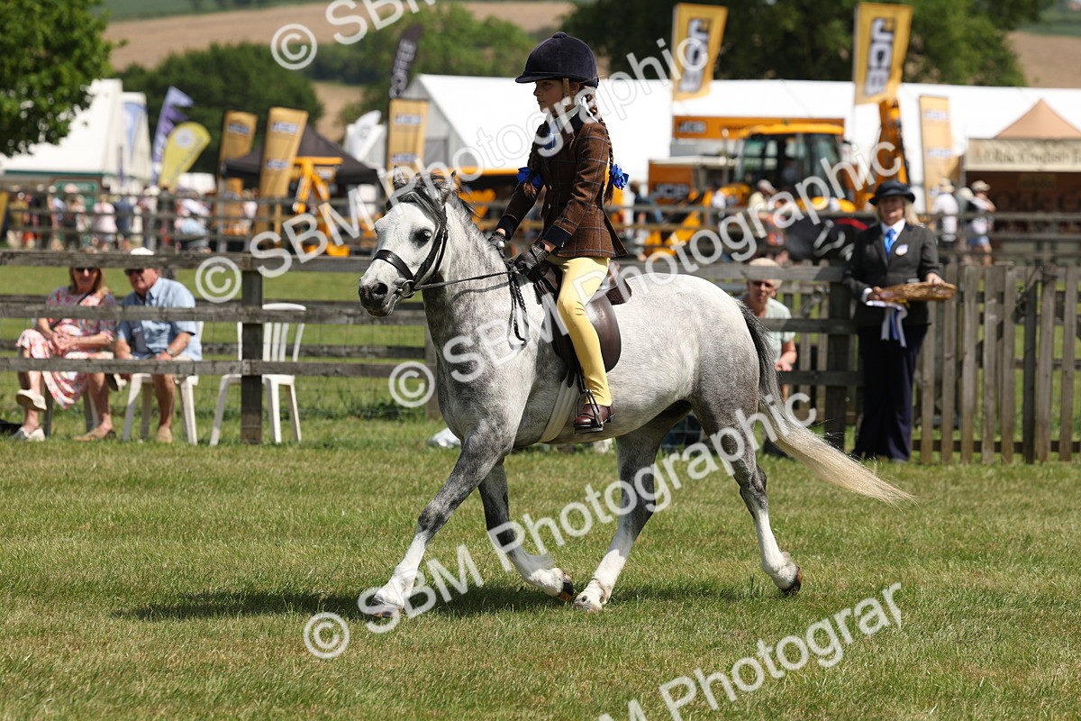 SBM_05354 - Class 24-25 - Mountain & Moorland In Hand Lead Rein and First Ridden