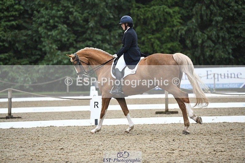 240720-145202-05856 - 187-Clare_Smith-Dori_Dragon_Fly