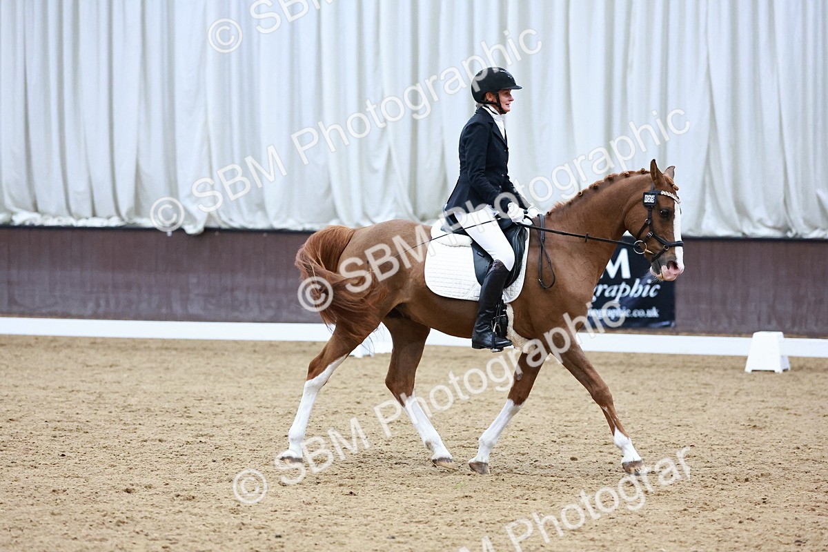 0B8A8120 - Class 5 - Novice 2