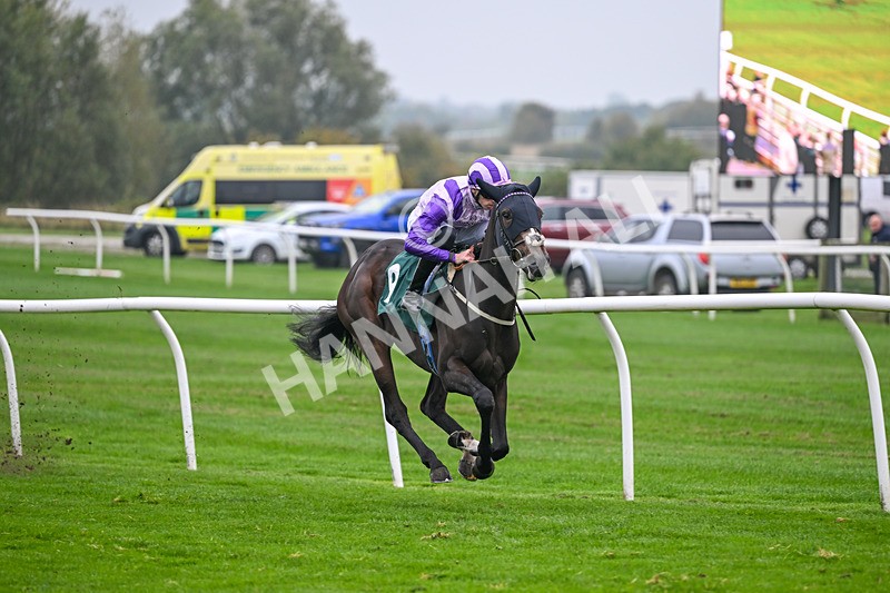 181025-Race 3-Secret Sonata-0482 - Race 3