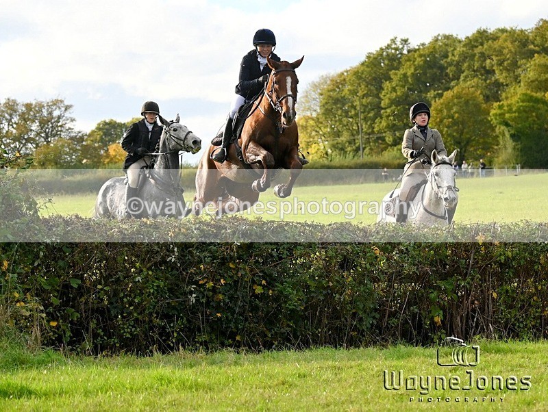 WJ6_5642 - Edited examples