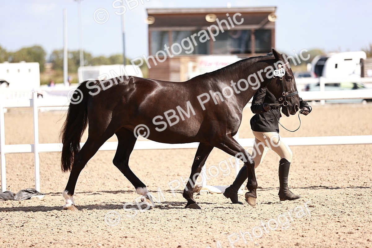 SBM_22883 - Class 706 - IH Veteran