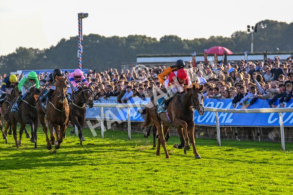 111025-Race 6-Berkshire Sundance-0630 - Race 6 Coral Racing Club Stayers Handicap at York