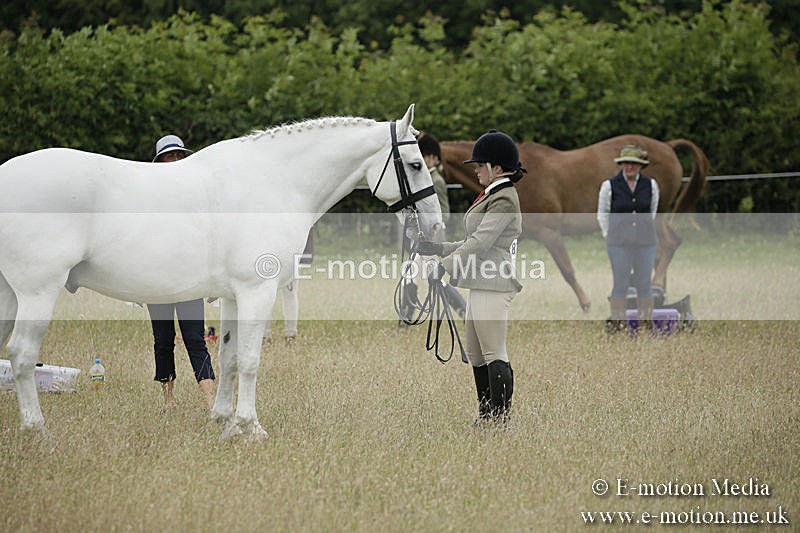 B230619-0771 - Bourne Valley Riding Club Summer Show 23/06/19